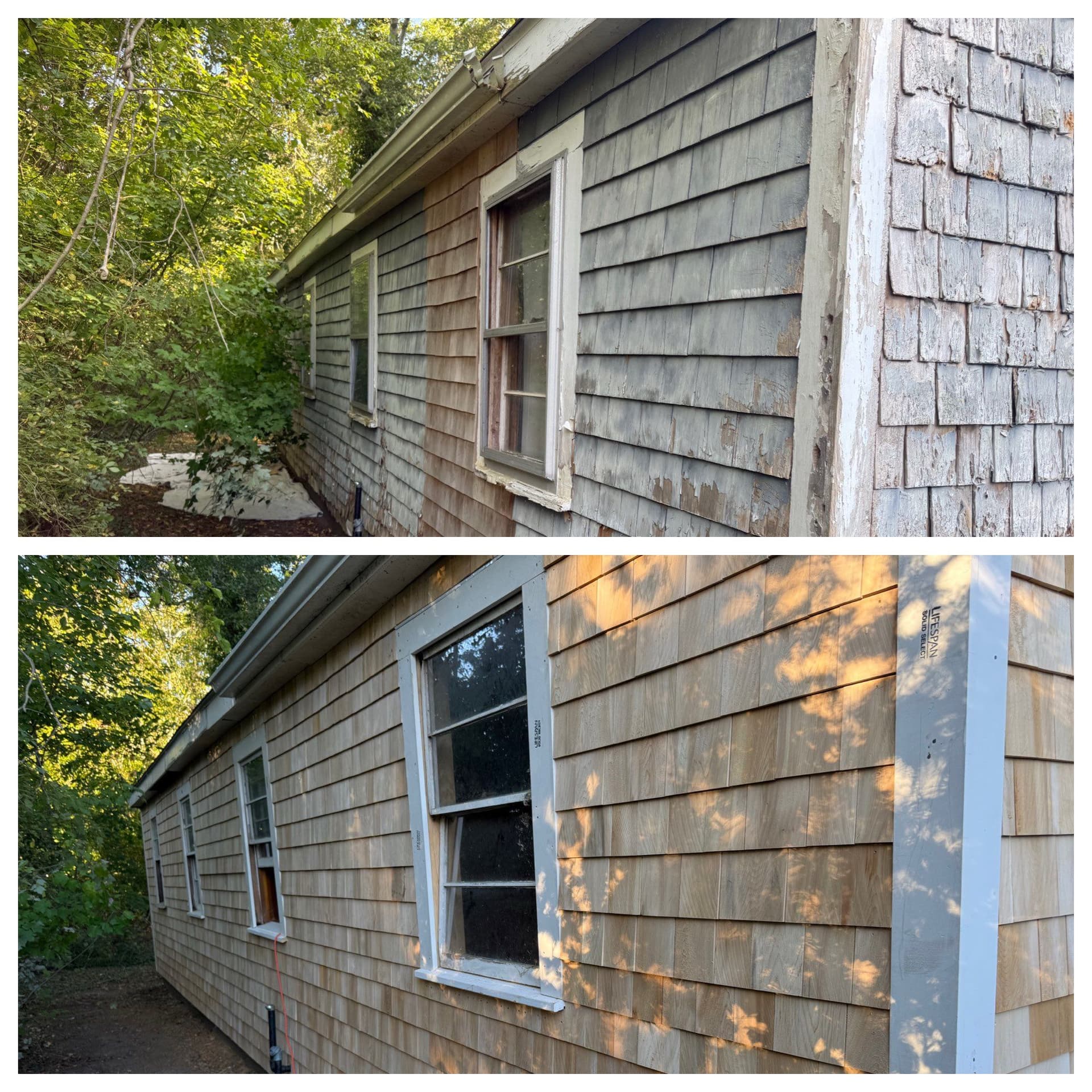 Cedar Siding Transformation with Our Expert Team image